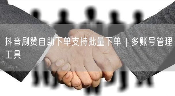 抖音刷赞自助下单支持批量下单|多账号管理工具